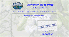 Desktop Screenshot of herkimerblueberries.com